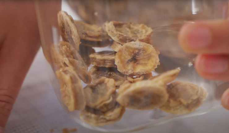 Peanut Butter Banana Chips