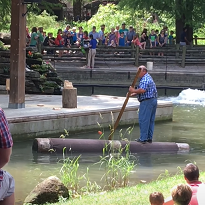 Lumberjack Show Lumberjack Show