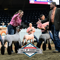 Sale of Champions Livestock Auction Sale of Champions Livestock Auction