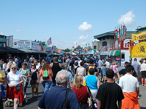 The New York State Fair 2008