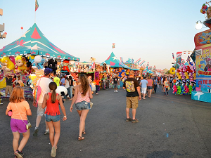 The New York State Fair