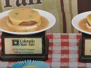 Colorado State Fair Food