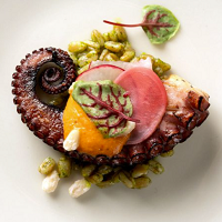 Flavors of the Mediterranean