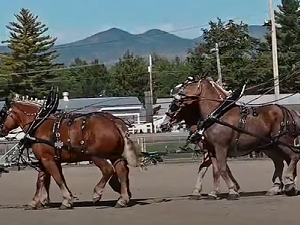 Fryeburg Fair 2021