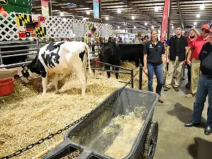 Maryland State Fair 2017