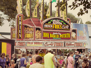 Minnesota State Fair Curly Fries