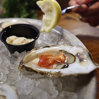 Oyster Bash