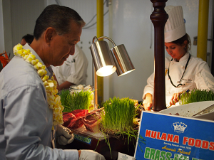 Hawaii Food and Wine Festival