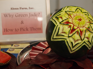 Hawaii Food and Wine Festival