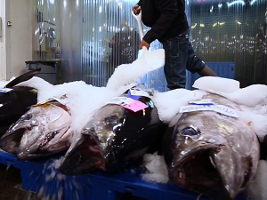 Hawaii Food and Wine Festival