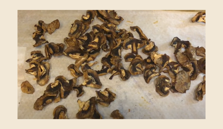 Pros and Cons of Dried Mushrooms